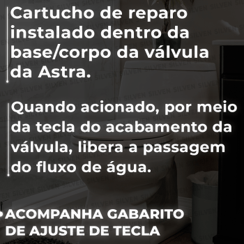 Cartucho Reparo para Válvula Descarga - Astra