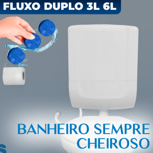 Caixa De Descarga Baixa Astra Acoplada + 3 Bloco Pedra Sanitárias